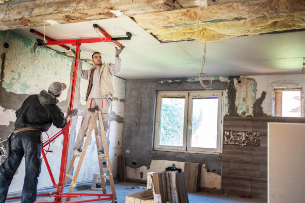 Best Insulation for New Construction  in Macon, GA