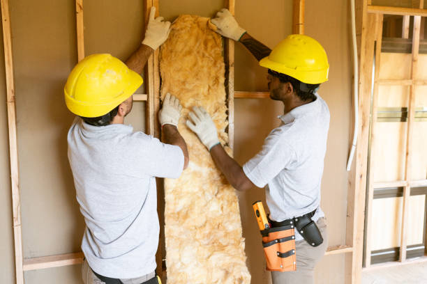 Best Insulation Repair Services  in Macon, GA